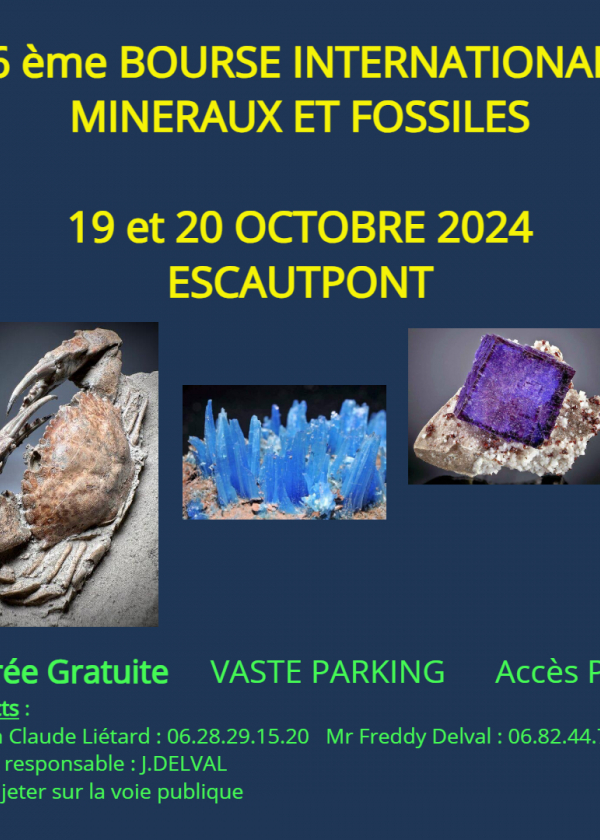 26° Salón Internacional de Minerales y Fósiles