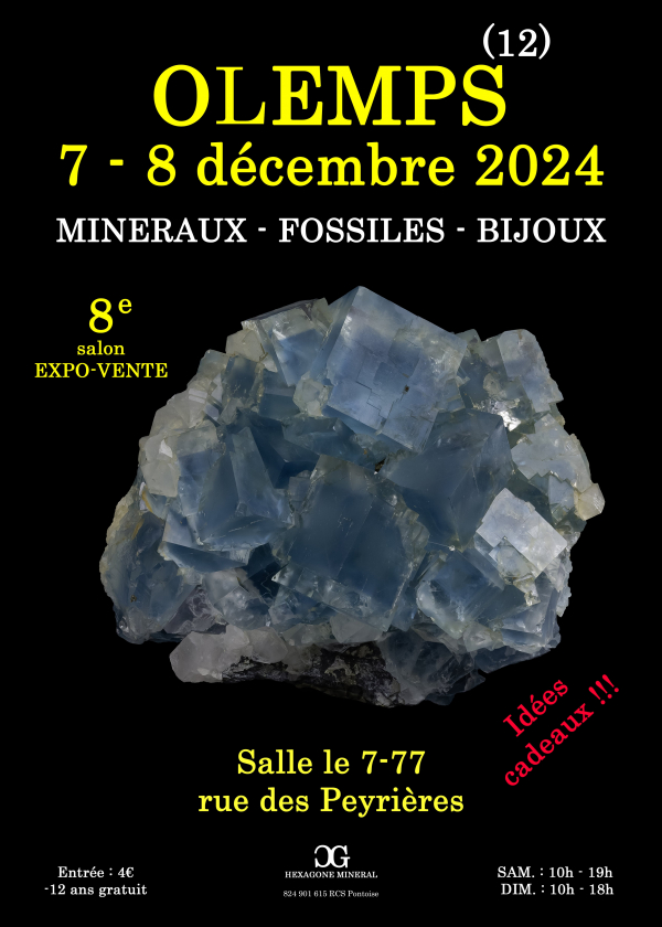 VIII MUESTRA DE JOYERÍA DE MINERALES FÓSILES