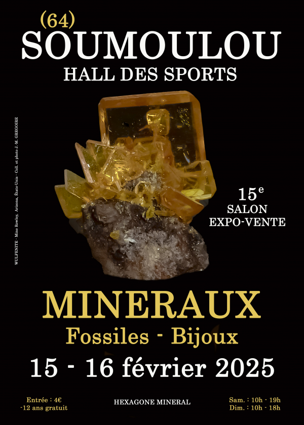 15ª exposición de joyas fósiles minerales de Soumoulou 15ª exposición de joyas fósiles minerales de Soumoulou