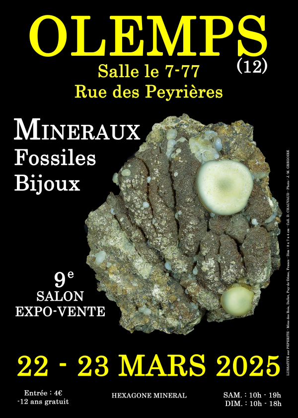 IX MUESTRA DE JOYERÍA DE MINERALES FÓSILES IX MUESTRA DE JOYERÍA DE MINERALES FÓSILES