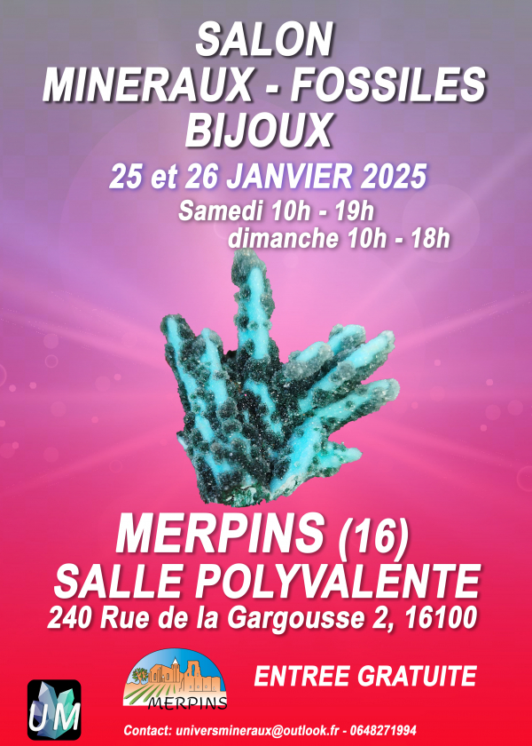 Minerales, fósiles, exposición de joyas de diseño. Minerales, fósiles, exposición de joyas de diseño.