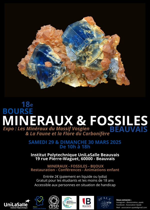 Intercambio de minerales y fósiles de Beauvais (18.ª edición) Intercambio de minerales y fósiles de Beauvais (18.ª edición)