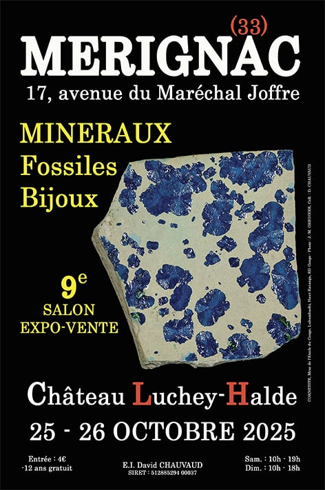 IX FERIA DE JOYERÍA DE MINERALES Y FÓSILES IX FERIA DE JOYERÍA DE MINERALES Y FÓSILES