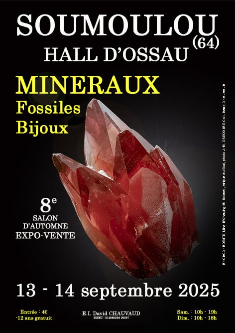 8ª Feria de Minerales, Fósiles y Joyería de Otoño 8ª Feria de Minerales, Fósiles y Joyería de Otoño