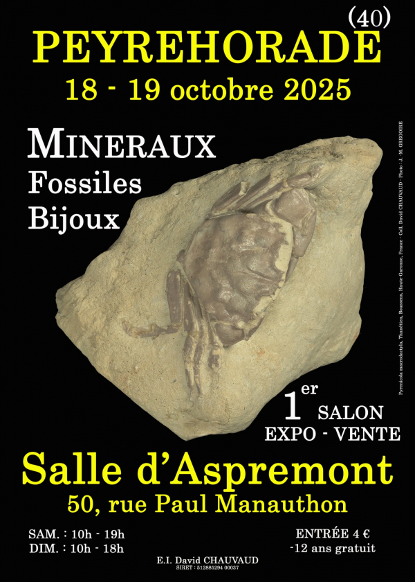1ª FERIA DE JOYERÍA DE MINERALES Y FÓSILES