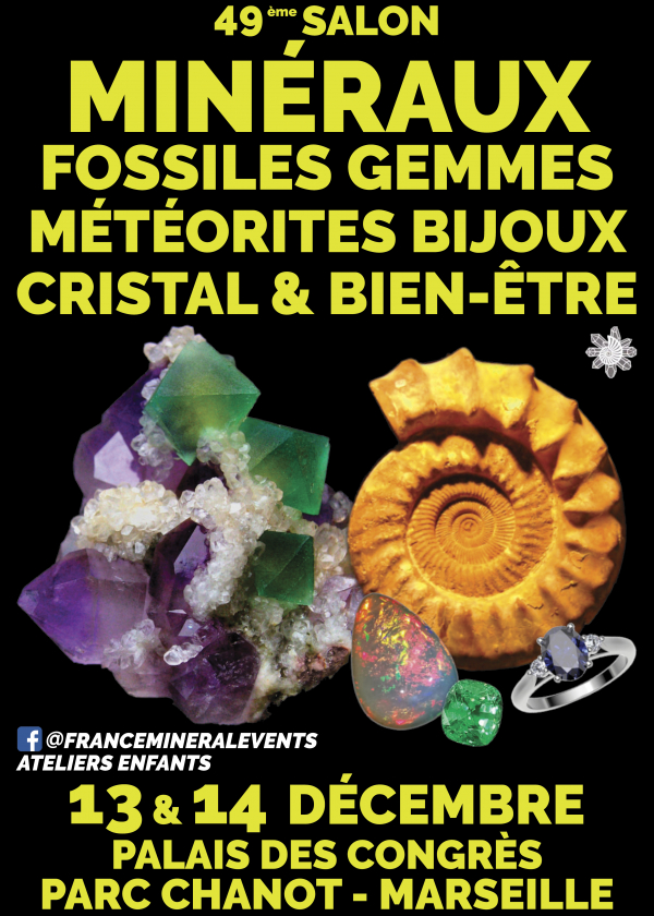 49ª Feria de Minerales de Marsella