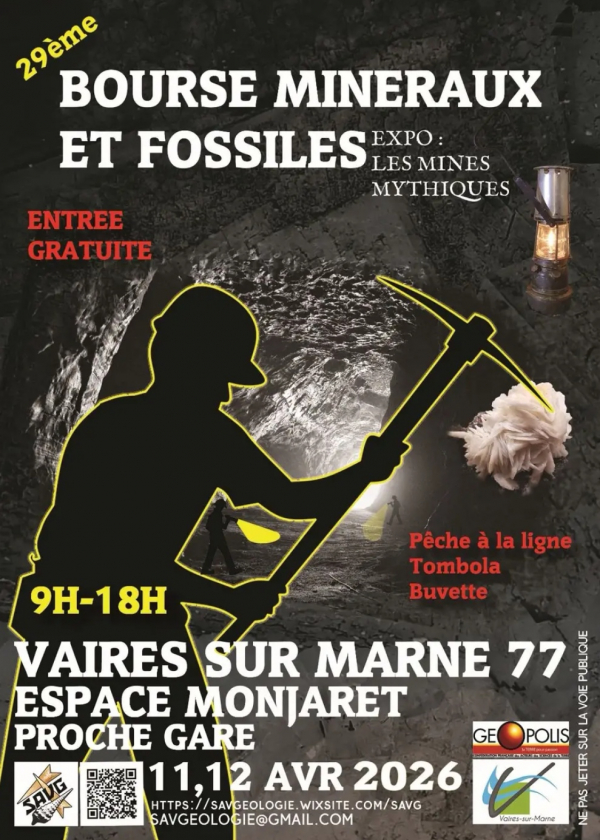 29ª Feria de Minerales y Fósiles