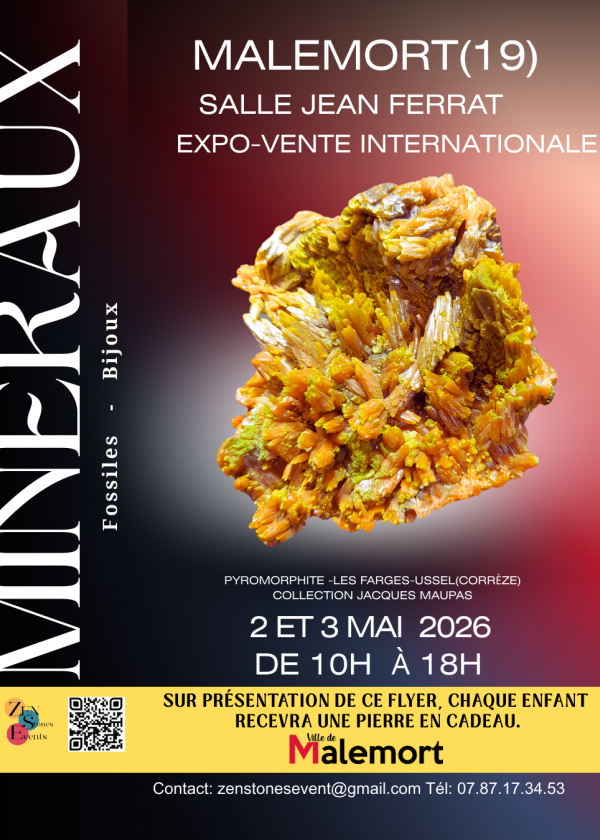 Exposición de minerales, fósiles, gemas y joyas.