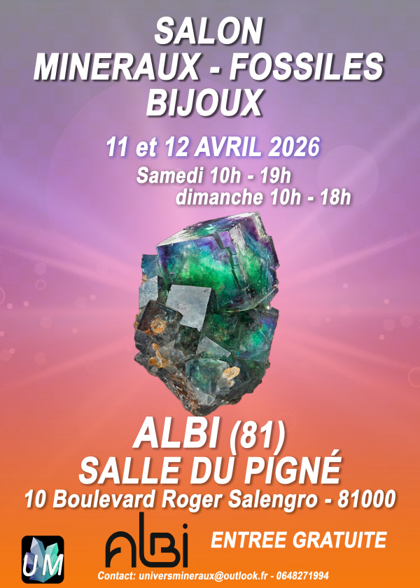 Exposición de minerales, fósiles y joyería de diseño.