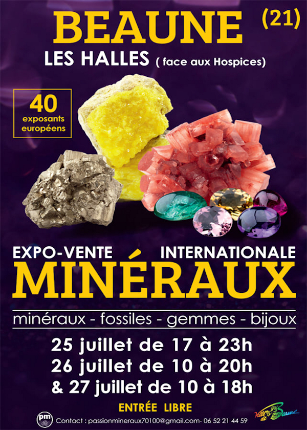 Feria de minerales y fósiles