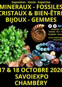 7ª Feria de Minerales, Fósiles y Cristales