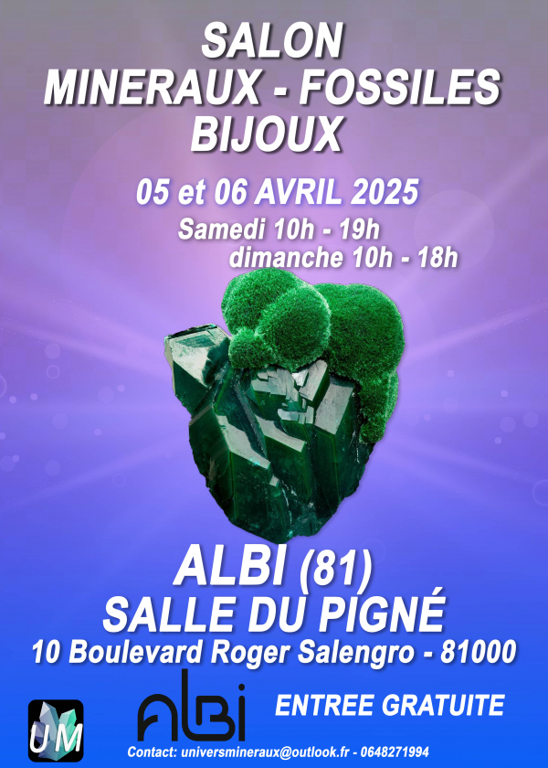 Exposición de minerales, fósiles y joyería de diseño.