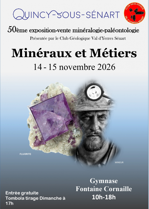 Feria de Minerales y Fósiles de Quincy-Sous-Senart