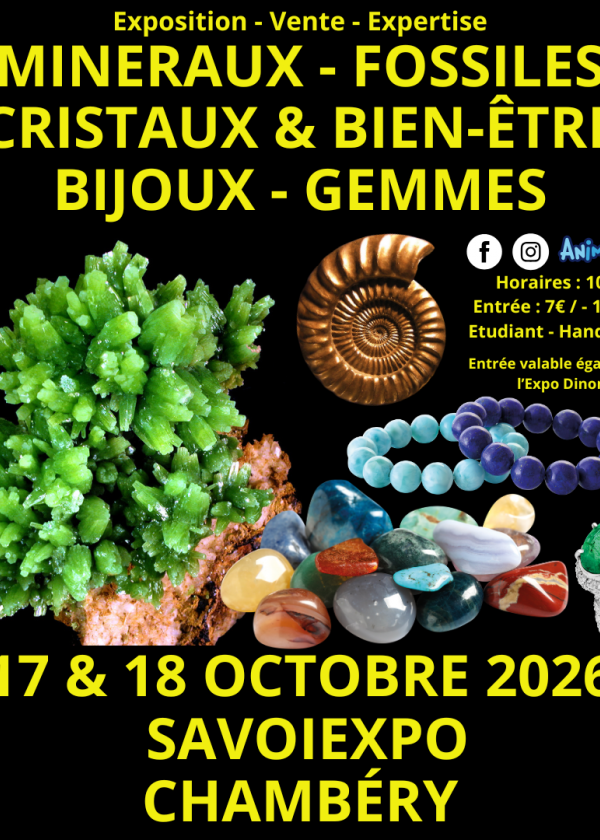 7ª Feria de Minerales, Fósiles y Cristales