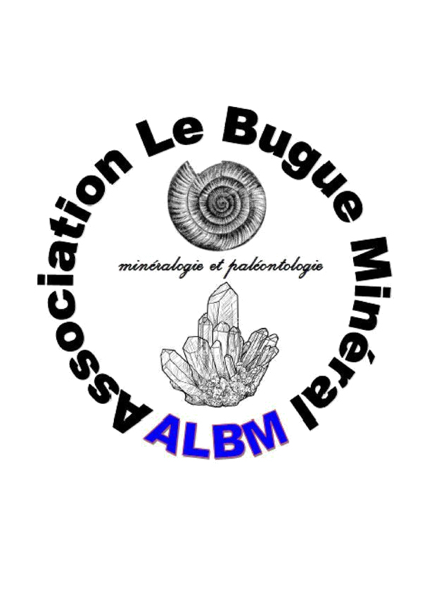 Intercambio de minerales y fósiles.