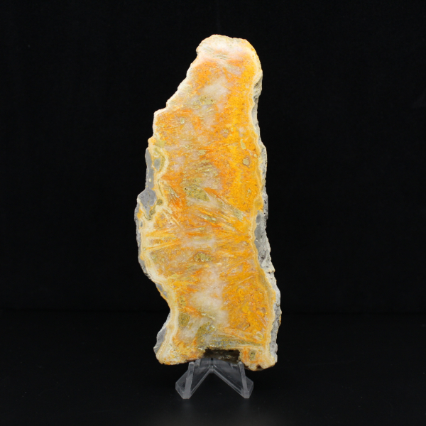 Placa de jaspe abejorro de Indonesia