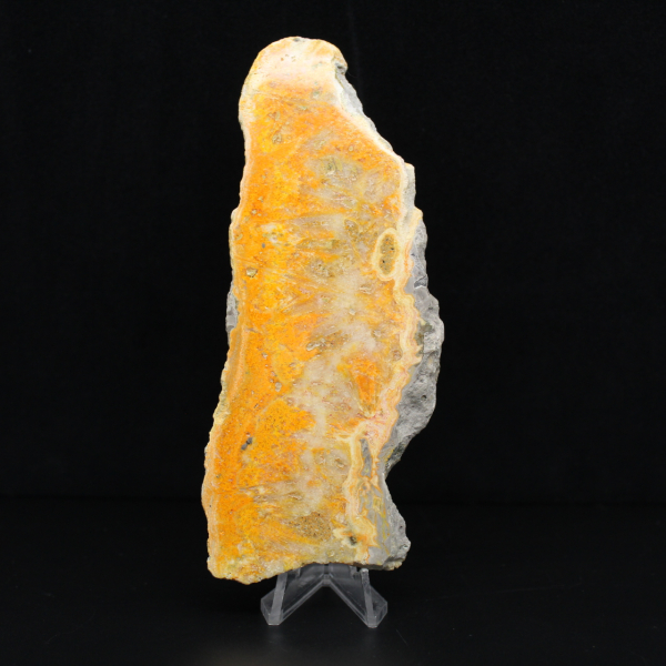 Placa de jaspe abejorro de Indonesia