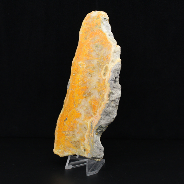 Placa de jaspe abejorro de Indonesia