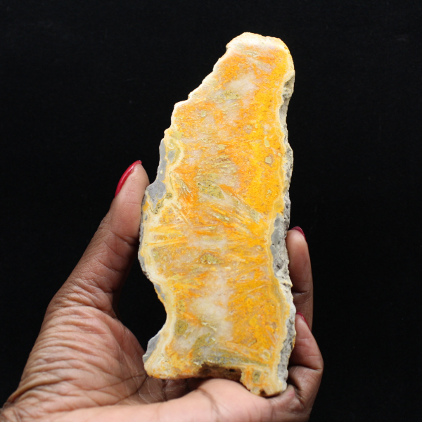 Placa de jaspe abejorro de Indonesia