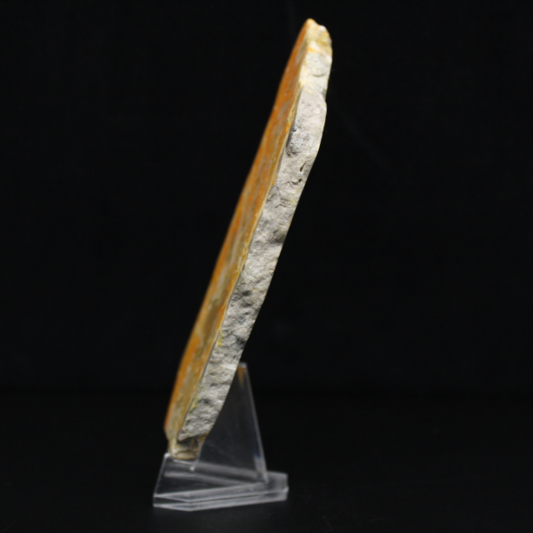 Ejemplar de jaspe abejorro volcánico pulido