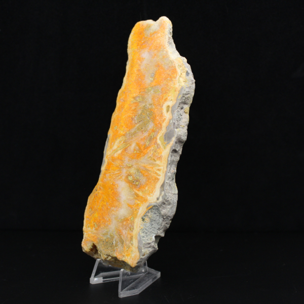 Rebanada de jaspe abejorro - Calidad de coleccionista