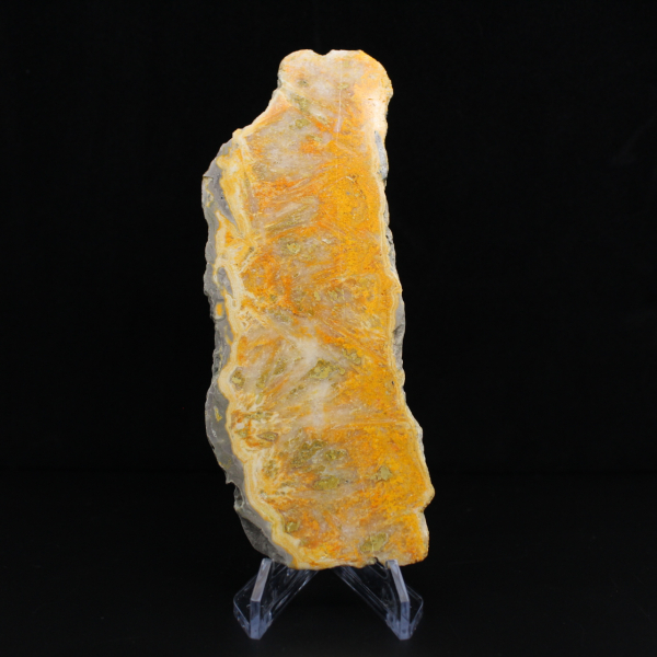 Rebanada de jaspe abejorro - Calidad de coleccionista