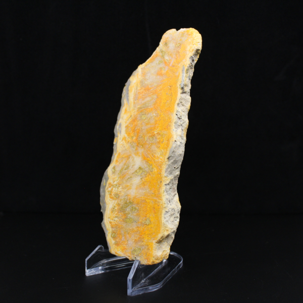 Rebanada de jaspe abejorro - Calidad de coleccionista