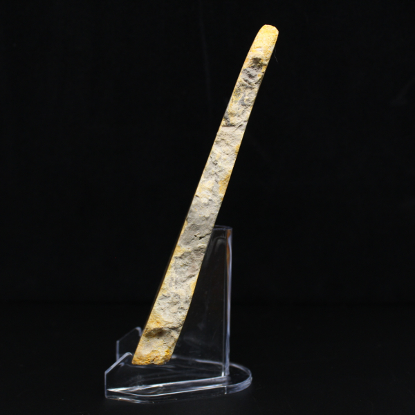 Rebanada de jaspe abejorro - Calidad de coleccionista