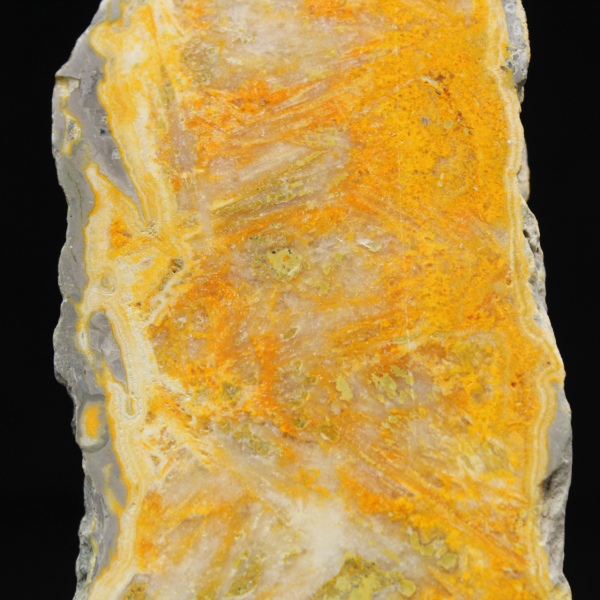 Rebanada de jaspe abejorro - Calidad de coleccionista