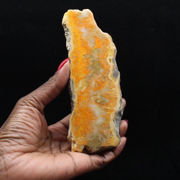 Rebanada de jaspe abejorro - Calidad de coleccionista