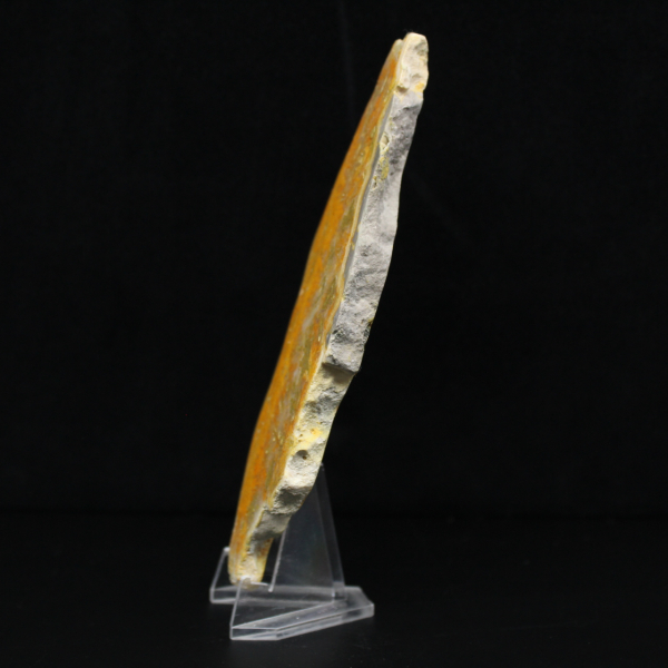 Jaspe abejorro de Indonesia: una pieza de exhibición