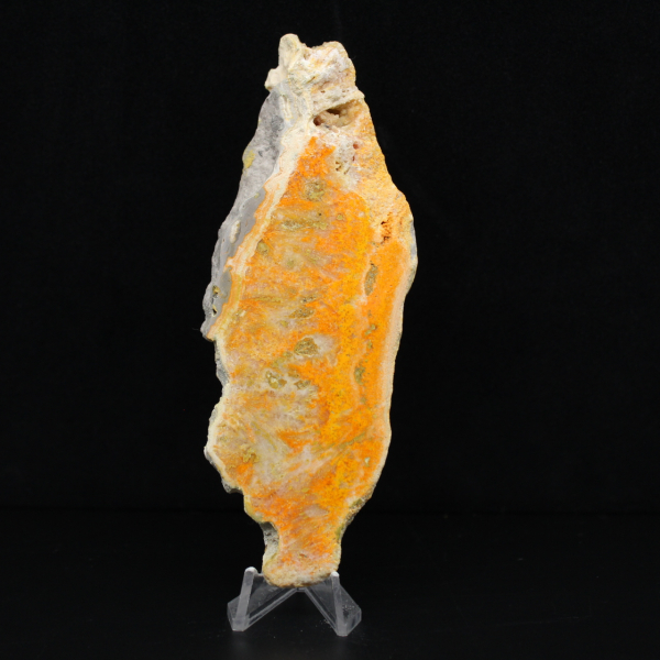 Jaspe abejorro de Indonesia: una pieza de exhibición