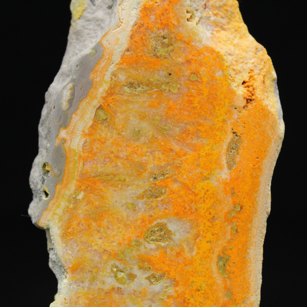 Jaspe abejorro de Indonesia: una pieza de exhibición