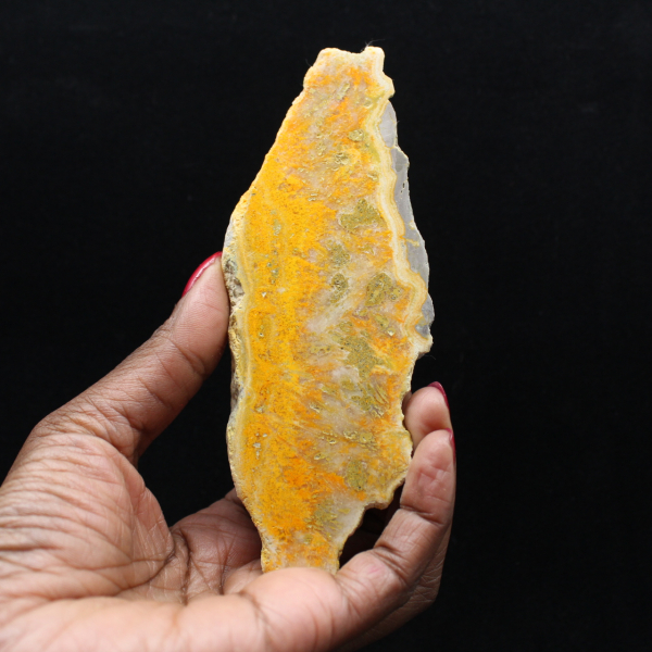 Jaspe abejorro de Indonesia: una pieza de exhibición