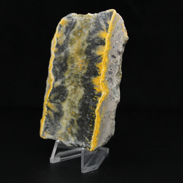 Pequeño ejemplar en rodajas de abejorro jaspeado