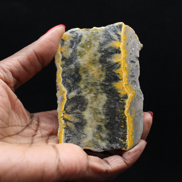 Pequeño ejemplar en rodajas de abejorro jaspeado