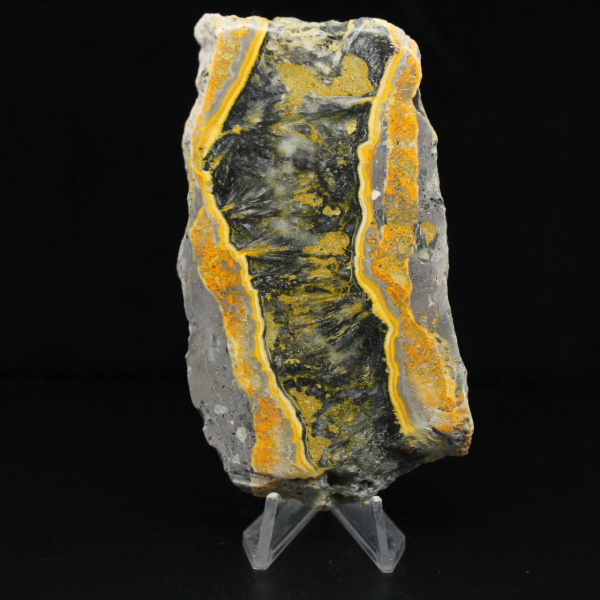 Rebanada gruesa de jaspe abejorro pulido