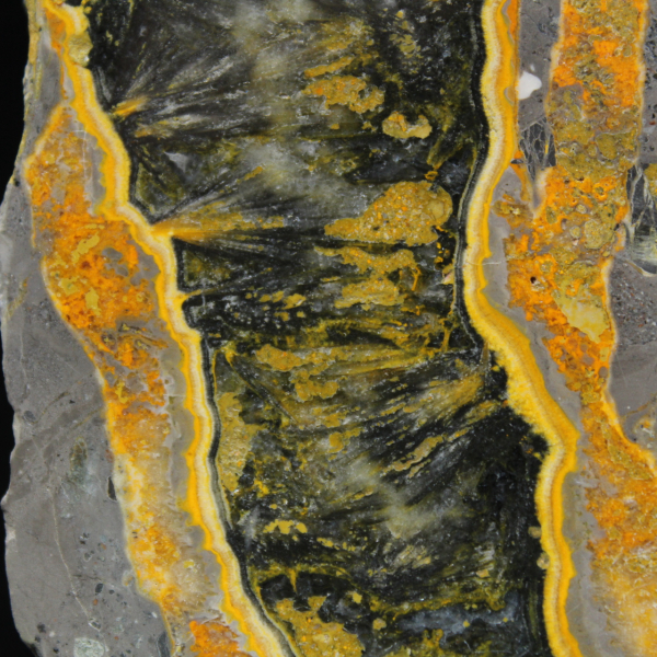 Rebanada gruesa de jaspe abejorro pulido