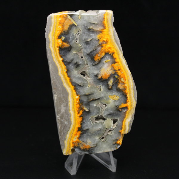 Robusta rebanada de jaspe abejorro de Indonesia