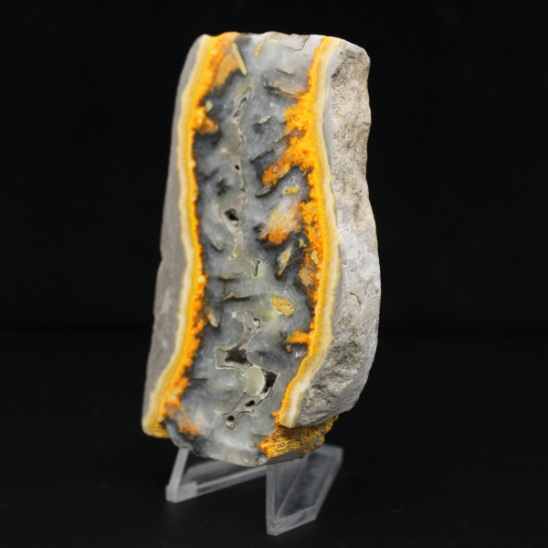 Robusta rebanada de jaspe abejorro de Indonesia