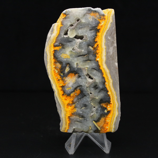 Robusta rebanada de jaspe abejorro de Indonesia