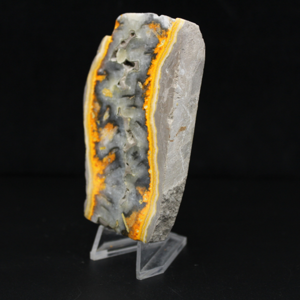 Robusta rebanada de jaspe abejorro de Indonesia