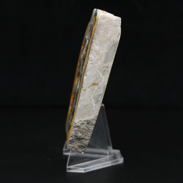 Robusta rebanada de jaspe abejorro de Indonesia