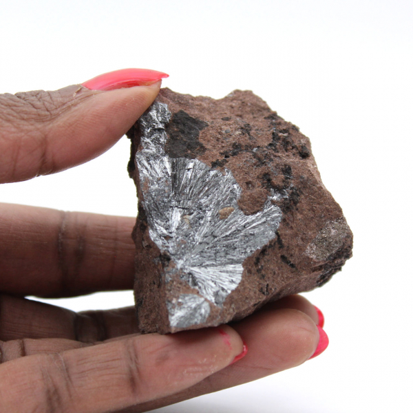 Pirolusita, cristales en miniatura sobre matriz