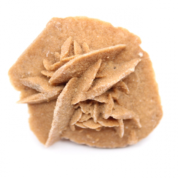 Rosa del desierto marroquí: pequeña pieza de colección en bruto