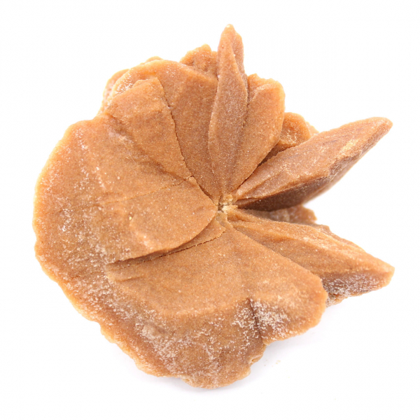 Gran cristal de rosa del desierto: ejemplar procedente de Marruecos