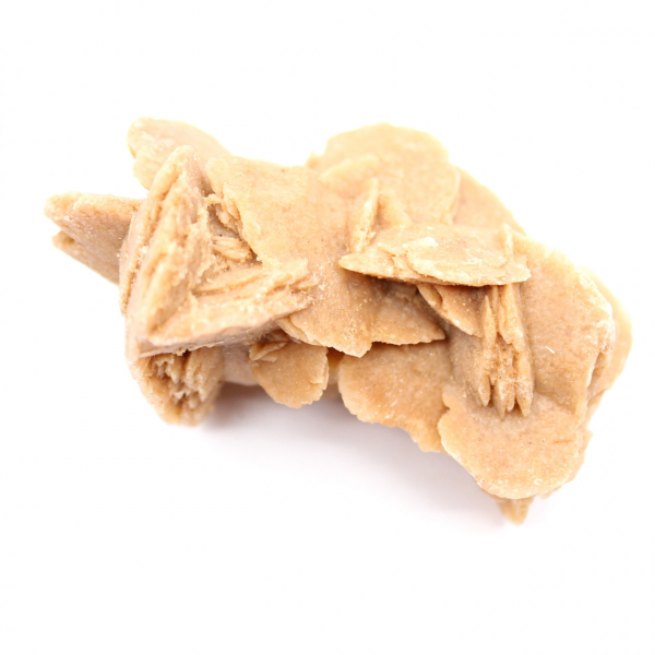 Ejemplar de yeso cristalizado: Rosa del desierto de Marruecos