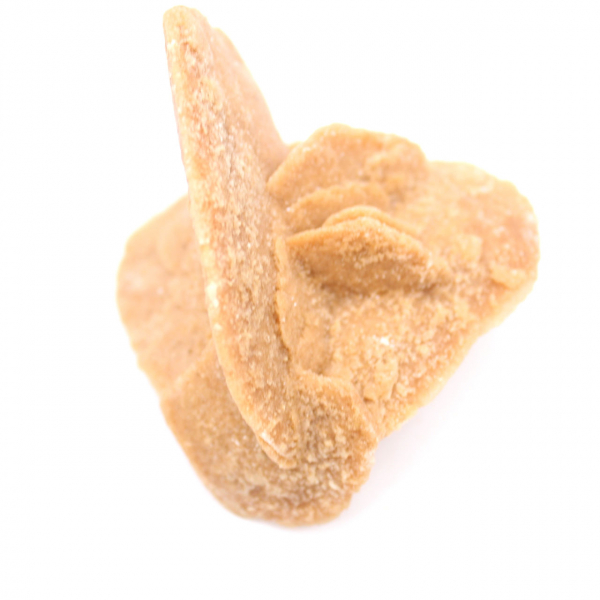 Rosa del desierto de Marruecos: los delicados cristales de yeso