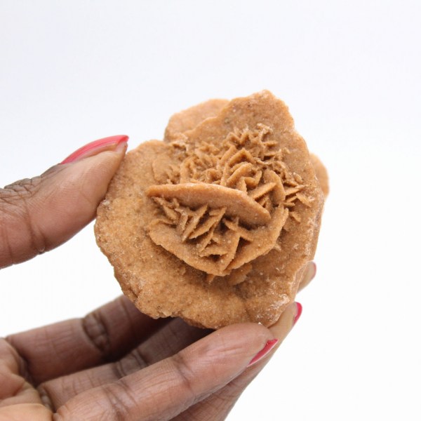 Rosa del desierto marroquí: un ramo cristalino de yeso