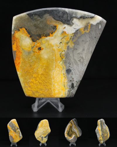 Jaspe abejorro Indonesia collection febrero 2026